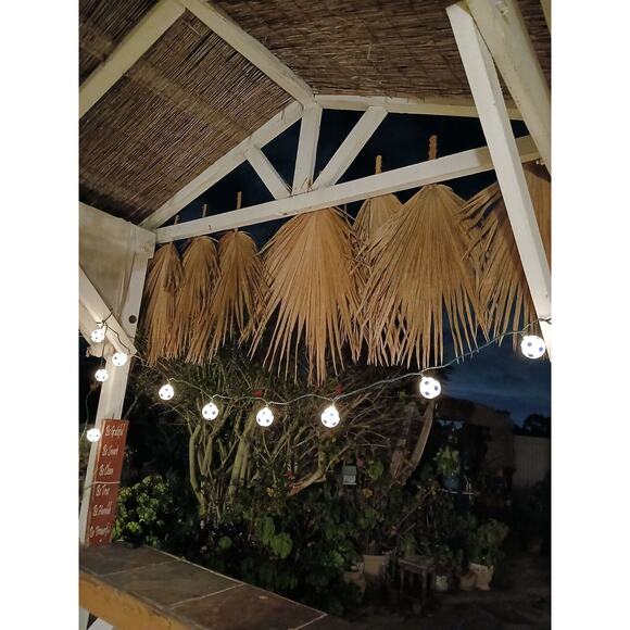 Soccer Ball Lights Balls Light String Futbol Plug In Indoor Outdoor 10 Christmas - Picture 4 of 9